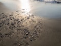 Stones on the sandy beach. Quiet place. The silence of the waves Edge of the coast. Background of sand and stone. Black sand on