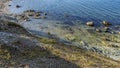 The stones are scattered in the coastal area of the lake. Royalty Free Stock Photo