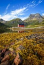 Stones and seaweed on a beach on Lofoten islands in Norway