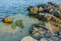 Stones and seaweed at the sea shore Royalty Free Stock Photo