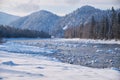 Stones with snow caps in the water of Altai Biya river under heavy snow in winter season with forest on background