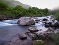 Stones in soft flowing water river in fresh green forest mountain with fog Royalty Free Stock Photo