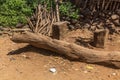 Stones and sticks in a traditional Konso village, Ethiop