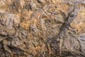 Stones texture nature photo. Rock background. Mountain close-up. Mountain texture