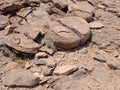 Stones in the thar Desert high temperature