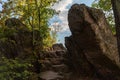 Stones and trees with berries. Mountain detail. Rocks background with space for design. Product display. Mountain road