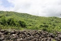 Stones trees and mauntain view in tropical rainforest. Royalty Free Stock Photo