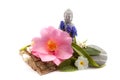 Stones and trunk whit flower and Buddha