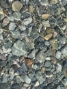 Stones under clear water dancing in the sunlight Royalty Free Stock Photo