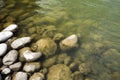 Close-up of stones under the stream in the valley Royalty Free Stock Photo
