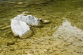 The stones under the pond, close-up as a background. Royalty Free Stock Photo