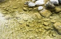 The stones under the pond, close-up as a background. Royalty Free Stock Photo