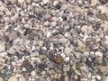 Stones under water. pebble beach. stones at the bottom of the sea, swimming with clear, clean, healthy and salty water. yellow,