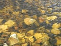 Stones under wavy water surface