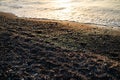 Stones and view of the black beach of Kamari in Santorini Royalty Free Stock Photo