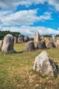 Stones at Viking Graveyard Lindholm Hoje in Denmark