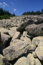 Stones in Vitosha