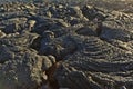 Stones of volcanic flow give Royalty Free Stock Photo