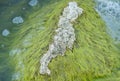 Stones in the water beam nature Royalty Free Stock Photo