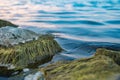 Stones in river are covered with green ooze Royalty Free Stock Photo