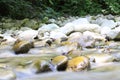 Longexposure on a french river in the forest Royalty Free Stock Photo