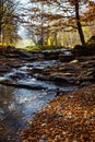 Stones waterfall reflection forest water autumn trees sun landscape yellow park leaves Royalty Free Stock Photo