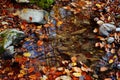 Stones waterfall reflection forest water autumn trees sun landscape yellow park leaves Royalty Free Stock Photo