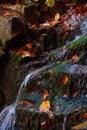 Stones waterfall reflection forest water autumn trees sun landscape yellow park leaves Royalty Free Stock Photo