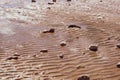 Stones on wavy wet sand. pebbles on the seashore. abstract background Royalty Free Stock Photo