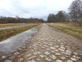 Stones road and beautiful trees in spring, Lithuania Royalty Free Stock Photo