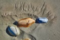 Stones in the wet sand at a beach Royalty Free Stock Photo