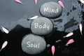 Stones with words Mind, Body, Soul and flower petals in water, flat lay. Zen lifestyle