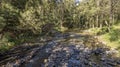 A Stoney Creek In The Bush