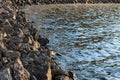 Stony Beach . Many Stones With Water