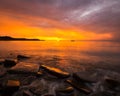 Stony beach in the sunset light Royalty Free Stock Photo