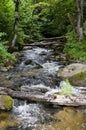 River SaidÃâ flows in the Neris Regional Park in Lithuania. Royalty Free Stock Photo