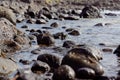 Stony coast in Tenerife