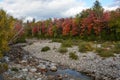 Stony Creek Bed Royalty Free Stock Photo