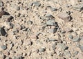 Stony desert ground background Royalty Free Stock Photo