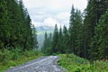 Stony dirt road in mountains with aerial view from mount Hoverla - Ukraine Royalty Free Stock Photo