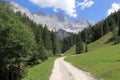 Stony and dusty road, green meadows, pastures and forests. Royalty Free Stock Photo