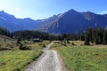 A stony and dusty road leading to the mountains. Green meadows, pastures and forests.