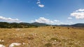 Stony grass steppe with some bushes and trees near Komic time lapse