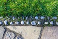 Stony and green grass pathway texture Royalty Free Stock Photo