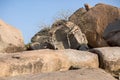 Stony landscape