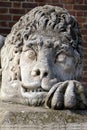 Stony lion on the town hall tower on main market square in cracow in poland Royalty Free Stock Photo