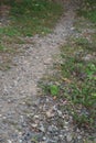 A stony path through grass and fallen leaves on the outskirts of the village