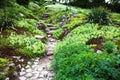 Stony path and stairs in the green garden Royalty Free Stock Photo