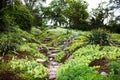 Stony path and stairs in the green garden Royalty Free Stock Photo