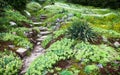 Stony path and stairs in the green garden Royalty Free Stock Photo